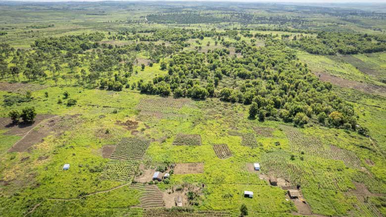 The Quiet Rise of Central Africa: Development Challenges and Opportunities in the DRC and Angola