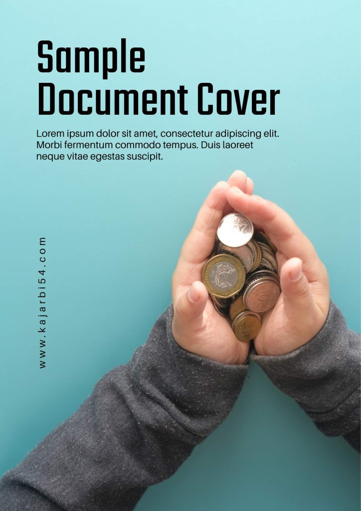 The Single Air Market Protocol (PDF)